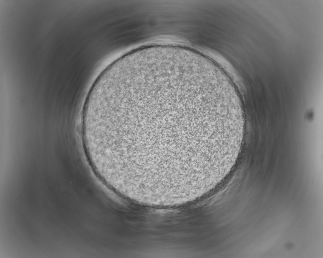 X0000116621335201001221332