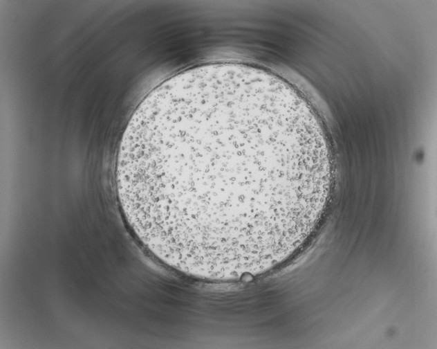 X0000116621337201001221332
