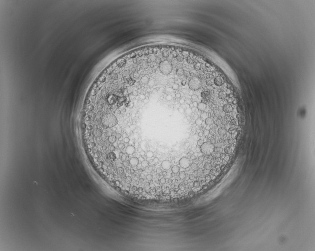 X0000116621338201001221332