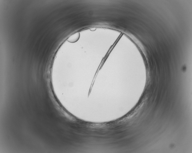 X0000116621341201001221332