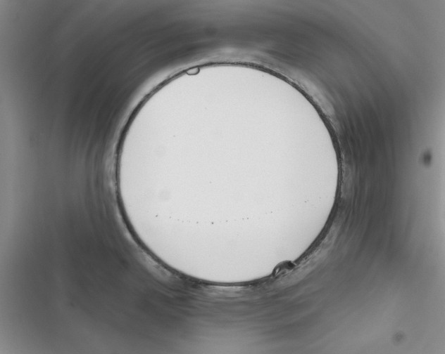 X0000116621342201001221332