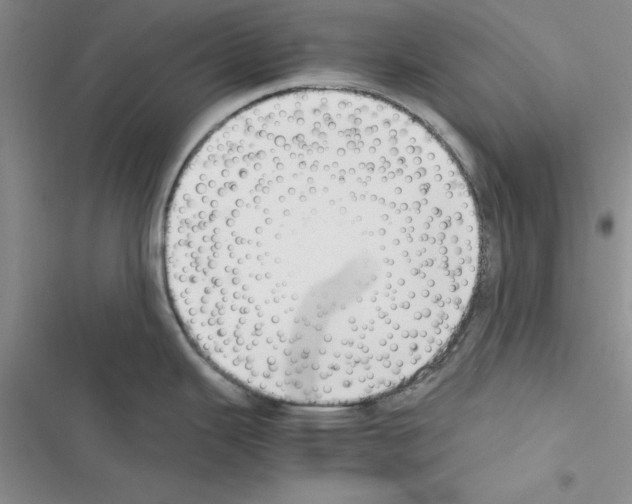 X0000116621343201001221332