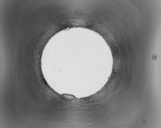 X0000116621345201001221331