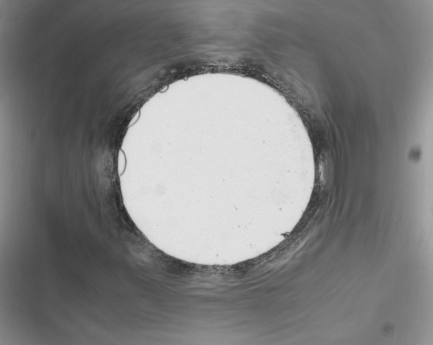 X0000116621347201001221331