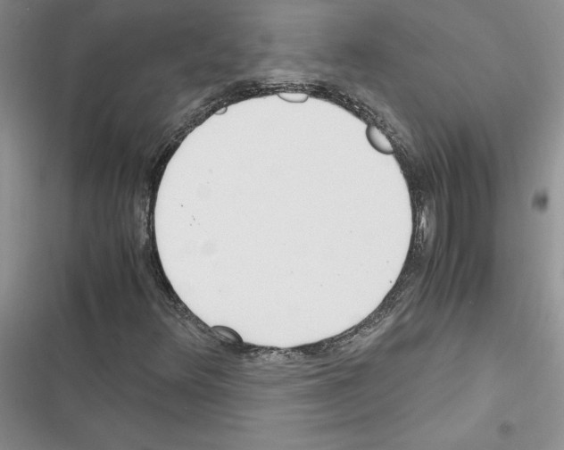 X0000116621348201001221331