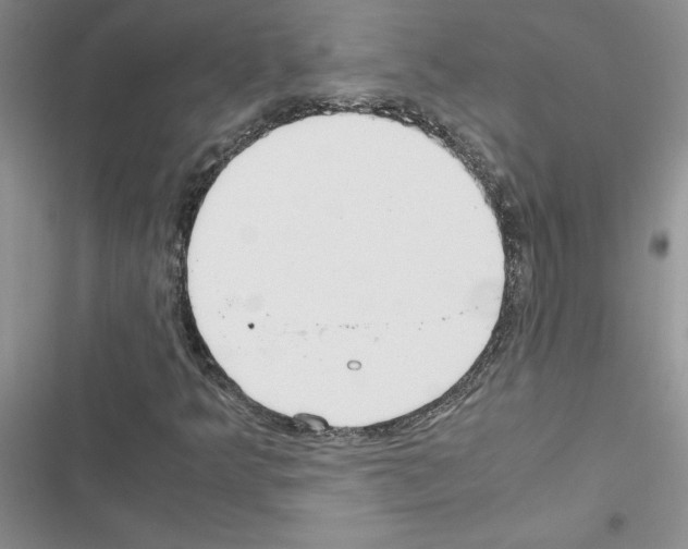 X0000116621349201001221331