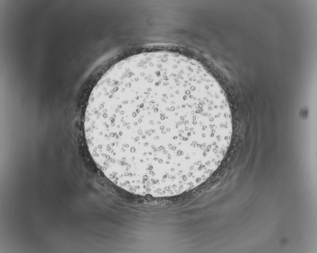 X0000116621351201001221331