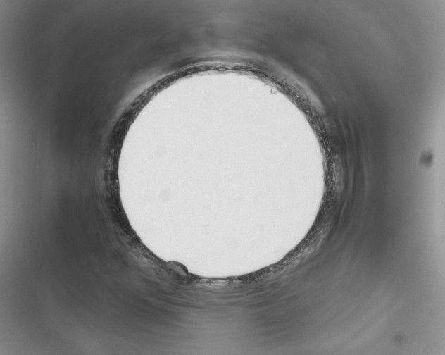 X0000116621352201001221331