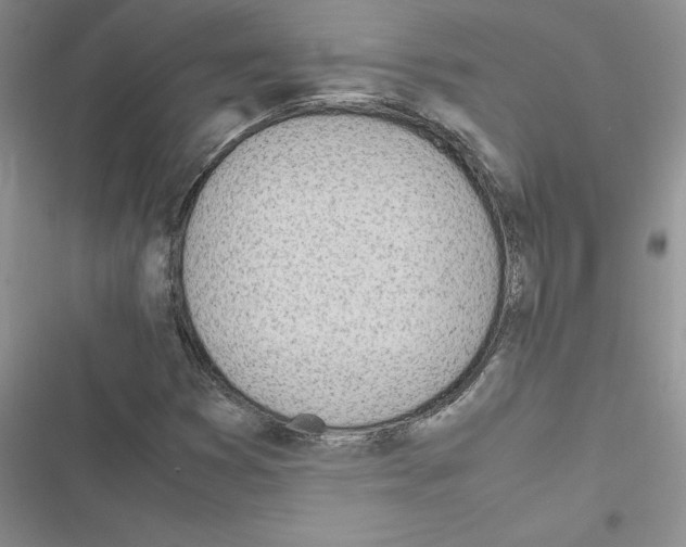 X0000116621353201001221331