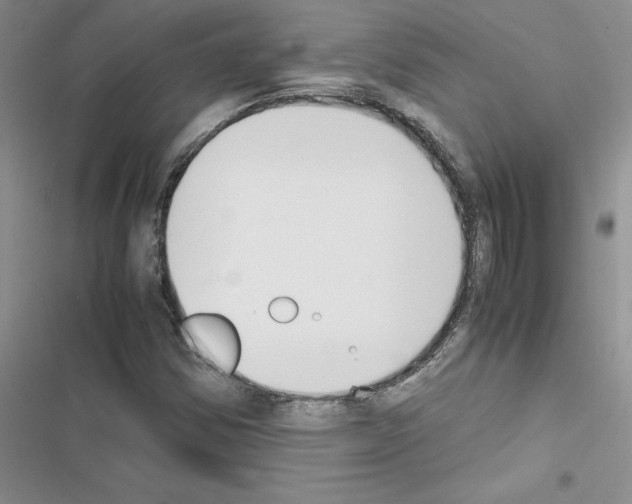 X0000116621354201001221331