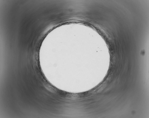 X0000116621355201001221331