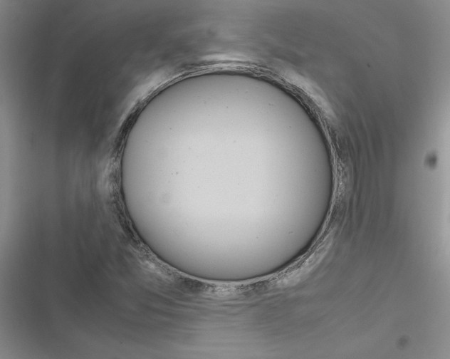 X0000116621357201001221331