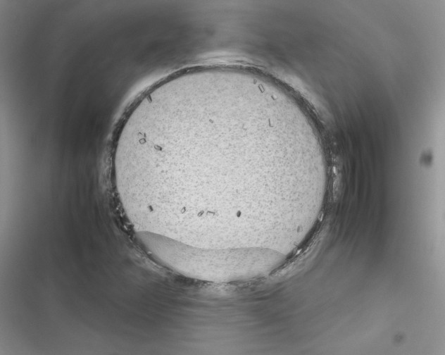 X0000116621358201001221331