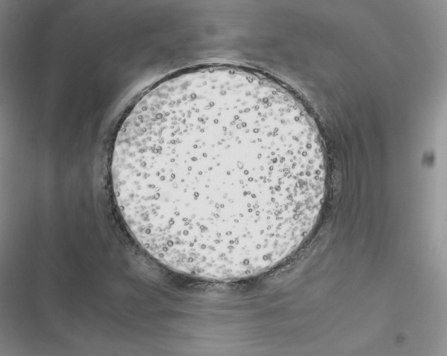 X0000116621359201001221331