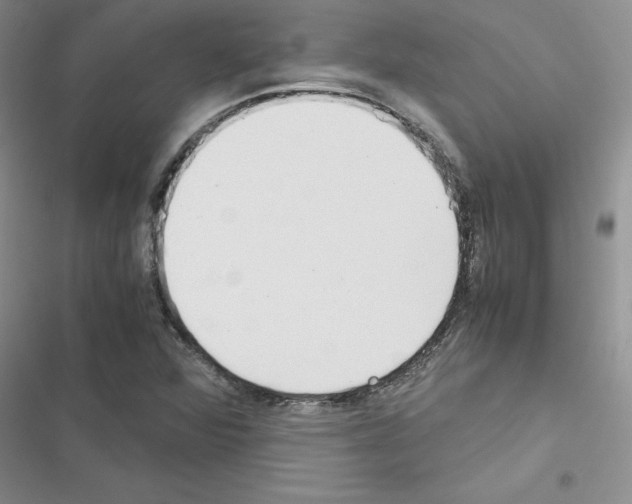 X0000116621360201001221331