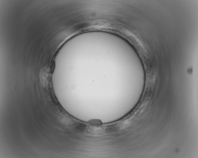 X0000116621361201001221331