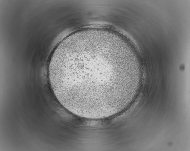 X0000116621362201001221331