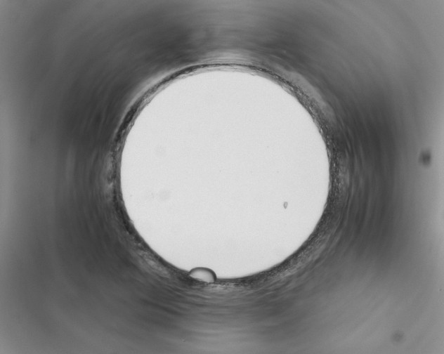 X0000116621364201001221331