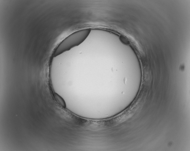 X0000116621365201001221331