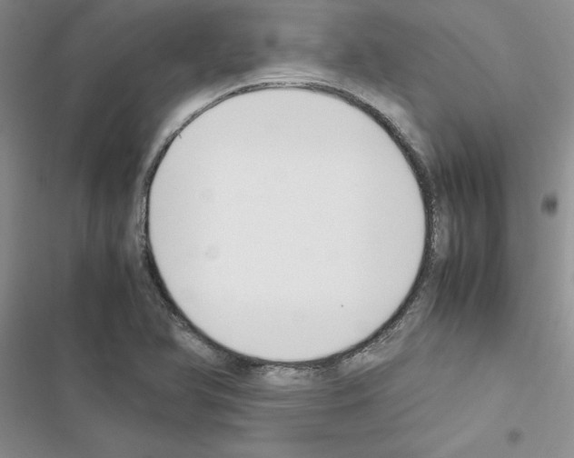 X0000116621366201001221331