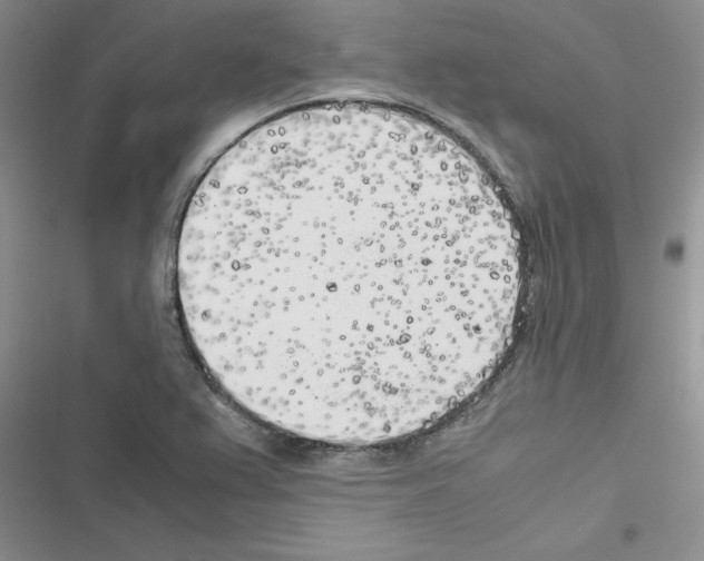 X0000116621367201001221331