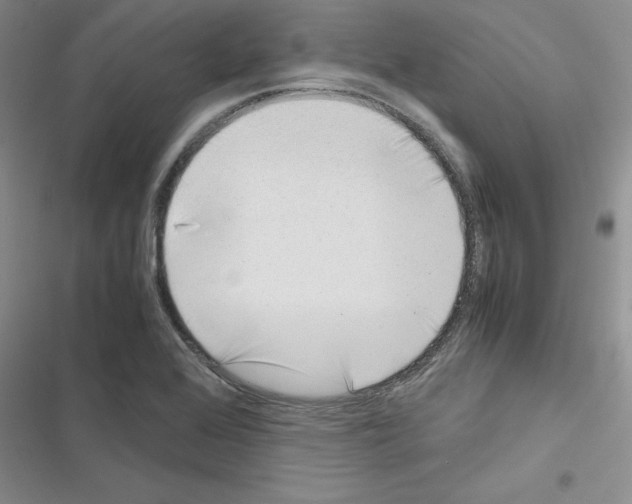 X0000116621368201001221331