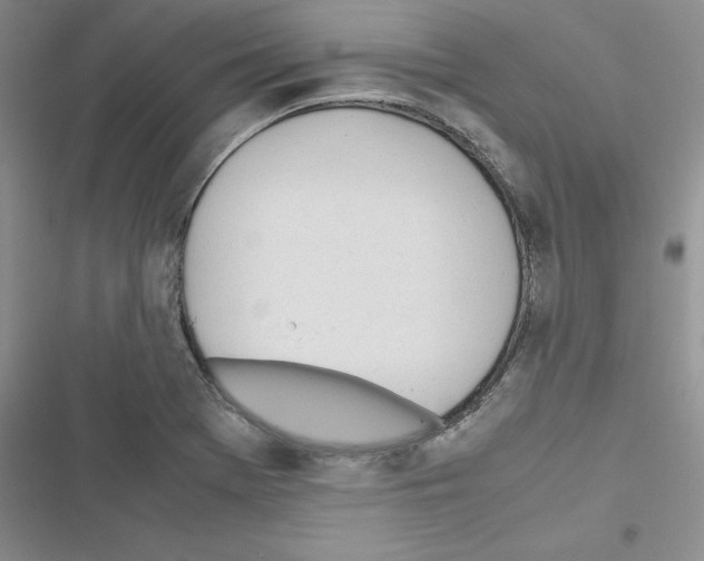 X0000116621369201001221331