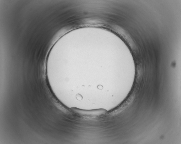 X0000116621370201001221331