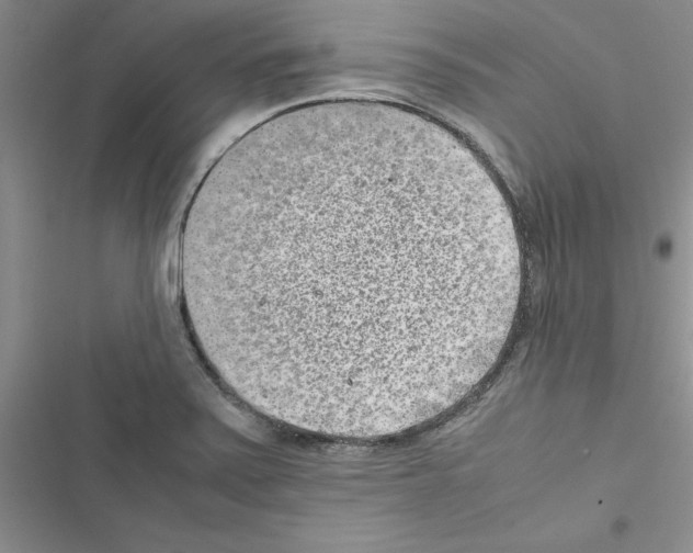 X0000116621371201001221331