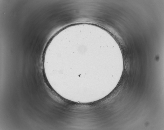 X0000116621372201001221331