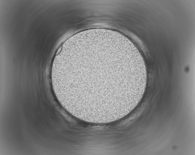 X0000116621373201001221331