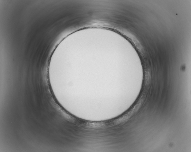 X0000116621374201001221331