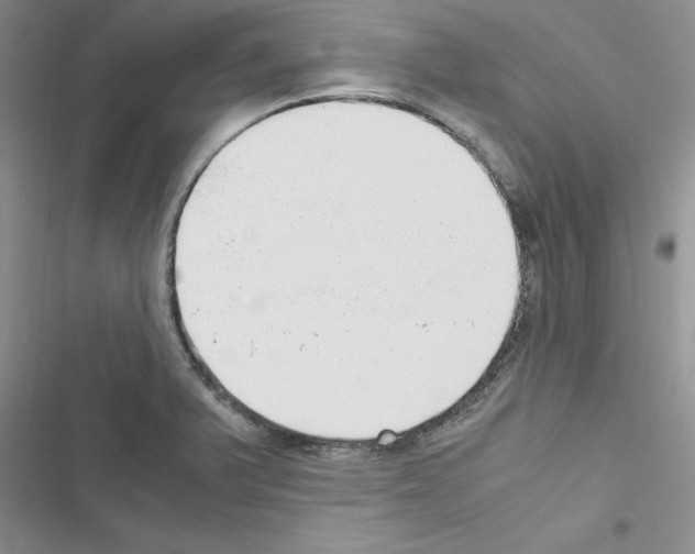 X0000116621375201001221331