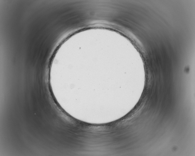 X0000116621376201001221331