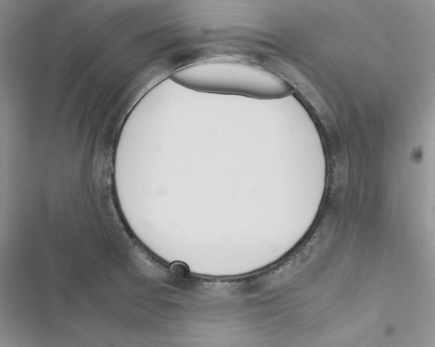 X0000116621377201001221331