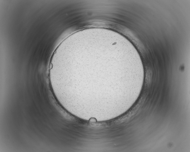 X0000116621378201001221331