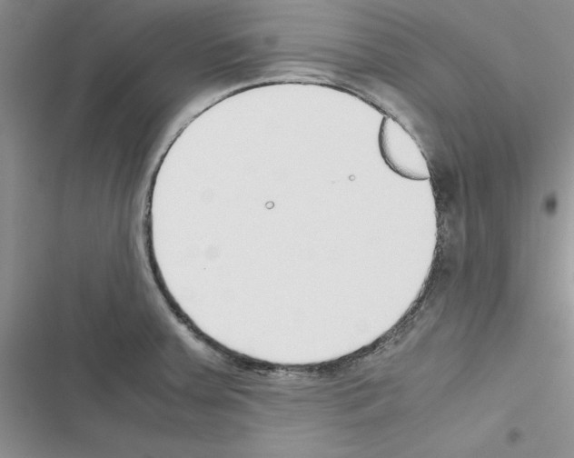 X0000116621379201001221331