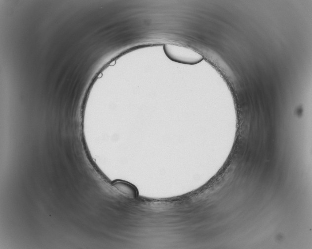 X0000116621380201001221331