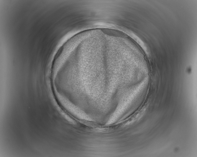 X0000116621381201001221331