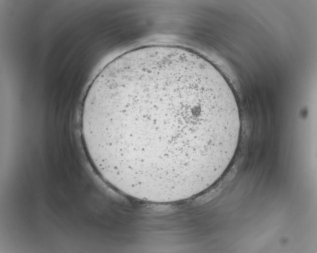 X0000116621382201001221331