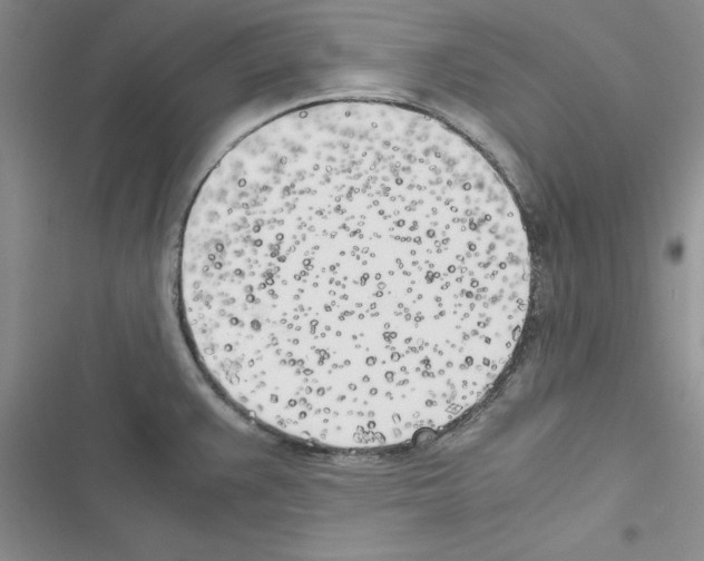 X0000116621383201001221331