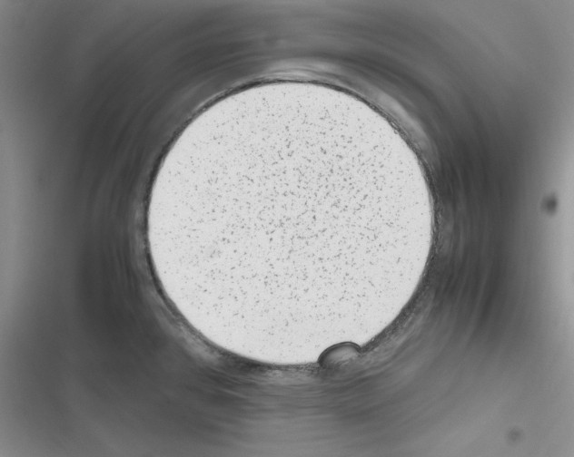 X0000116621384201001221331