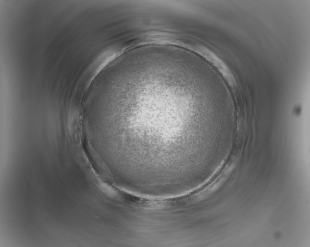 X0000116621385201001221331