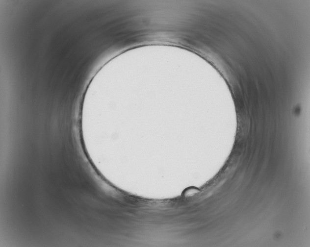 X0000116621387201001221331