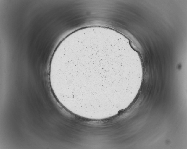 X0000116621388201001221331