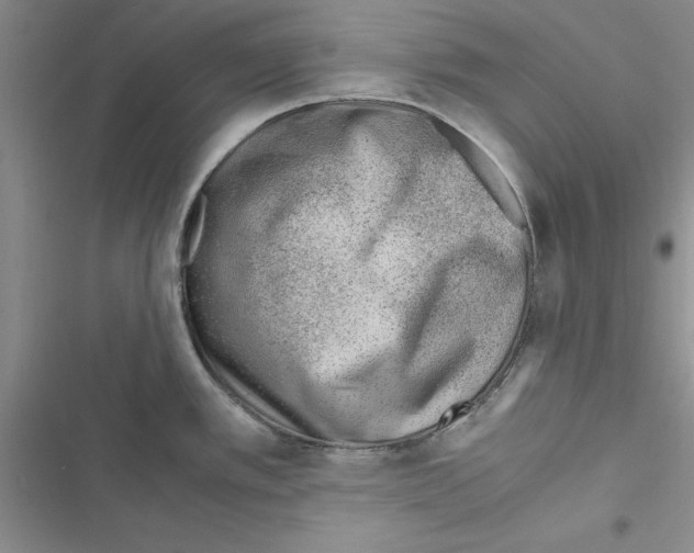 X0000116621389201001221330