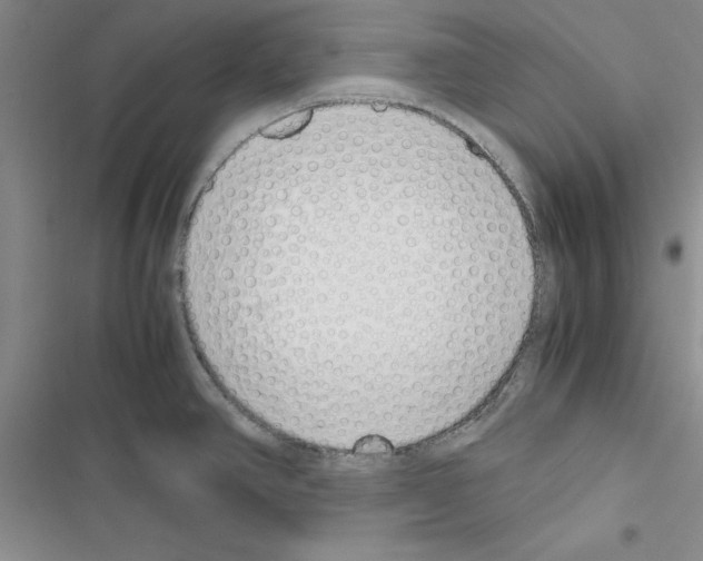 X0000116621390201001221330