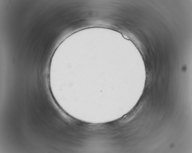 X0000116621391201001221330