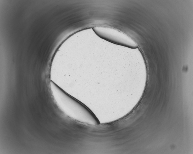 X0000116621392201001221330