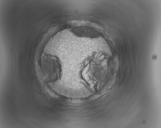 X0000116621393201001221330